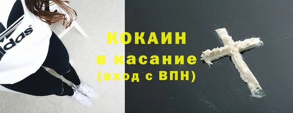 прущие грибы Володарск