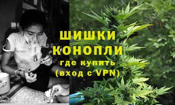 прущие грибы Володарск
