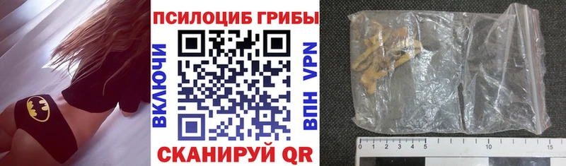 ОМГ ОМГ   Новое Девяткино  Псилоцибиновые грибы Psilocybe 